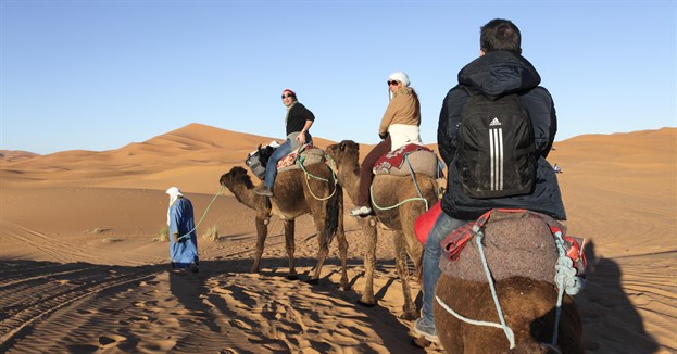 desert_camel_caravan