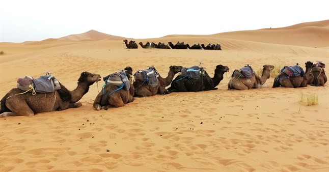 morocco_sahara_desert
